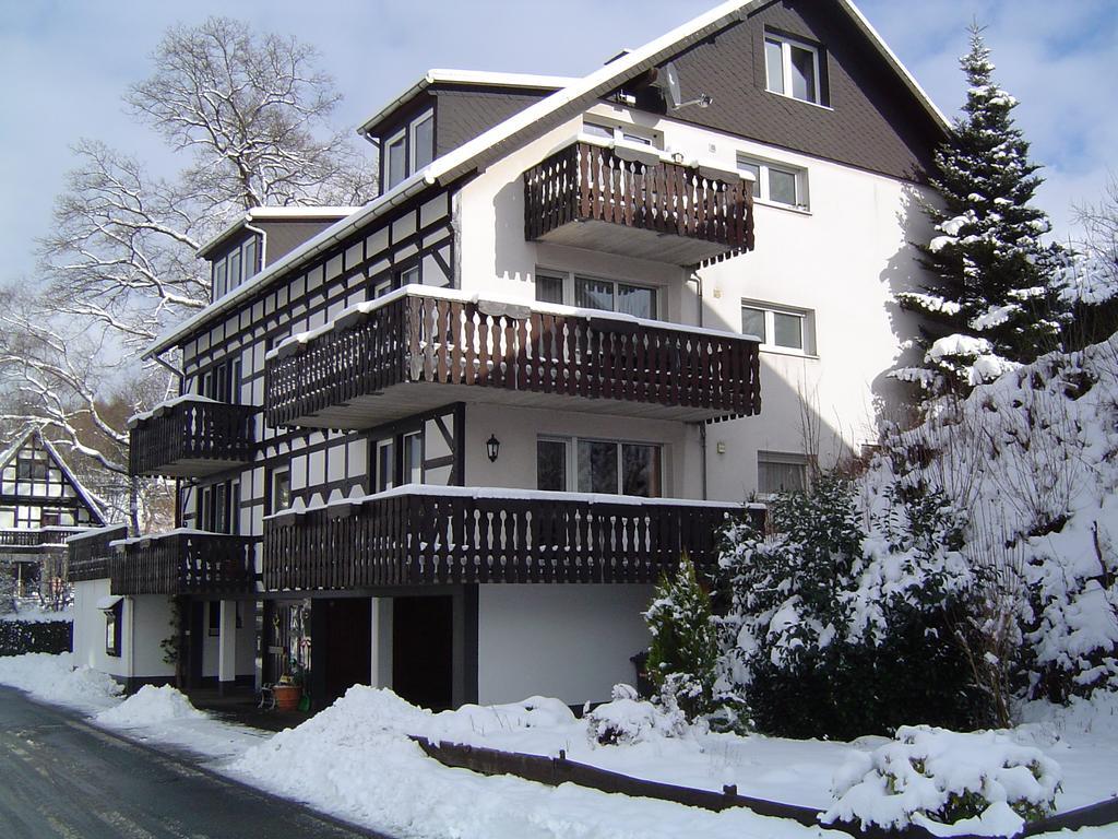 海德里希度假屋 Assinghausen 外观 照片